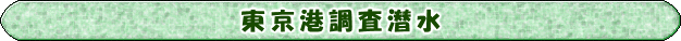 東京港調査潜水