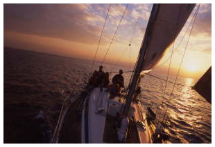 yojo-sailing.jpg