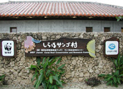 ishigaki01.jpg