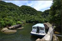 iriomote_image02.jpg
