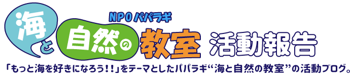 NPO パパラギ“海と自然の教室” 活動報告