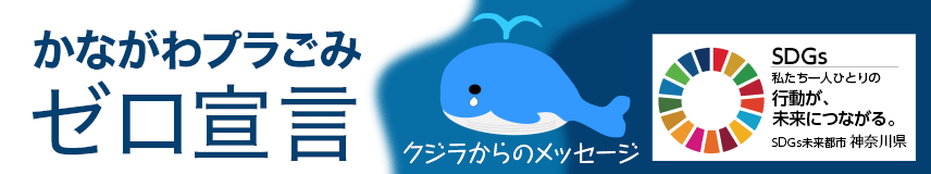クジラからのメッセージ