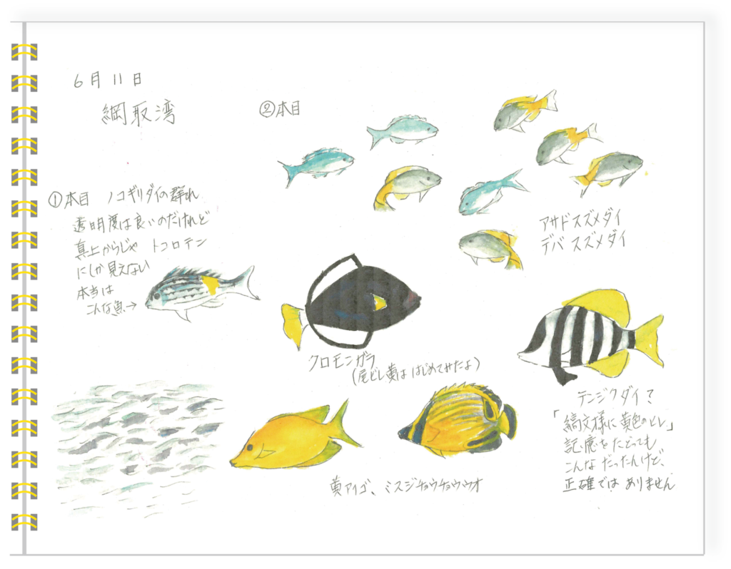 6月11日②　網取湾